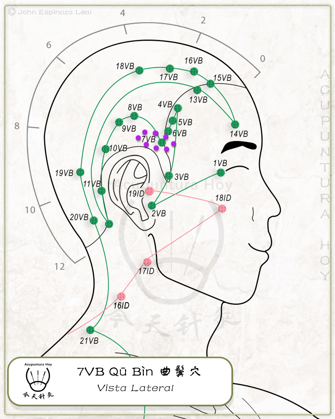 7VB Qū Bìn 曲鬓穴