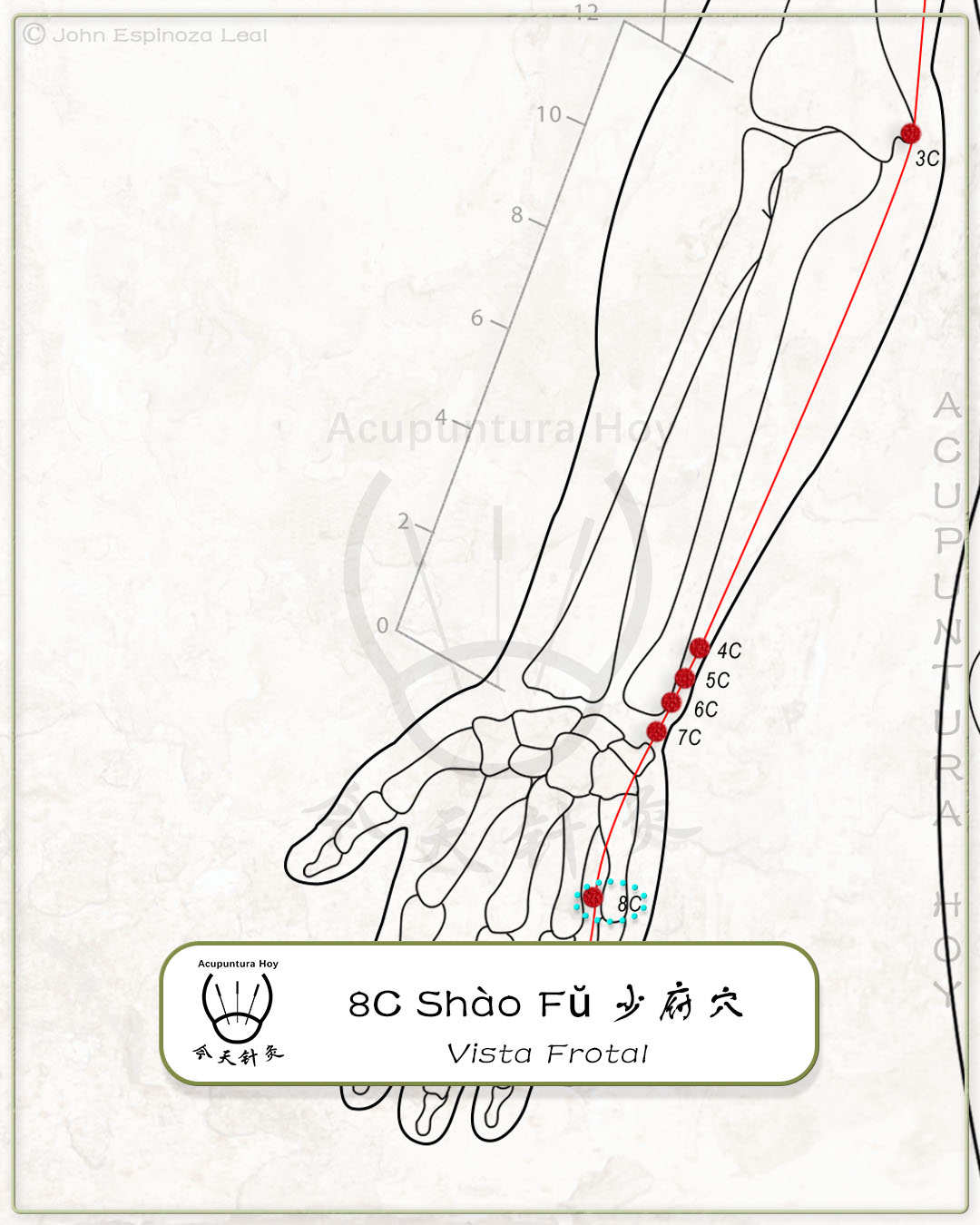 8C Shào Fŭ 少府穴