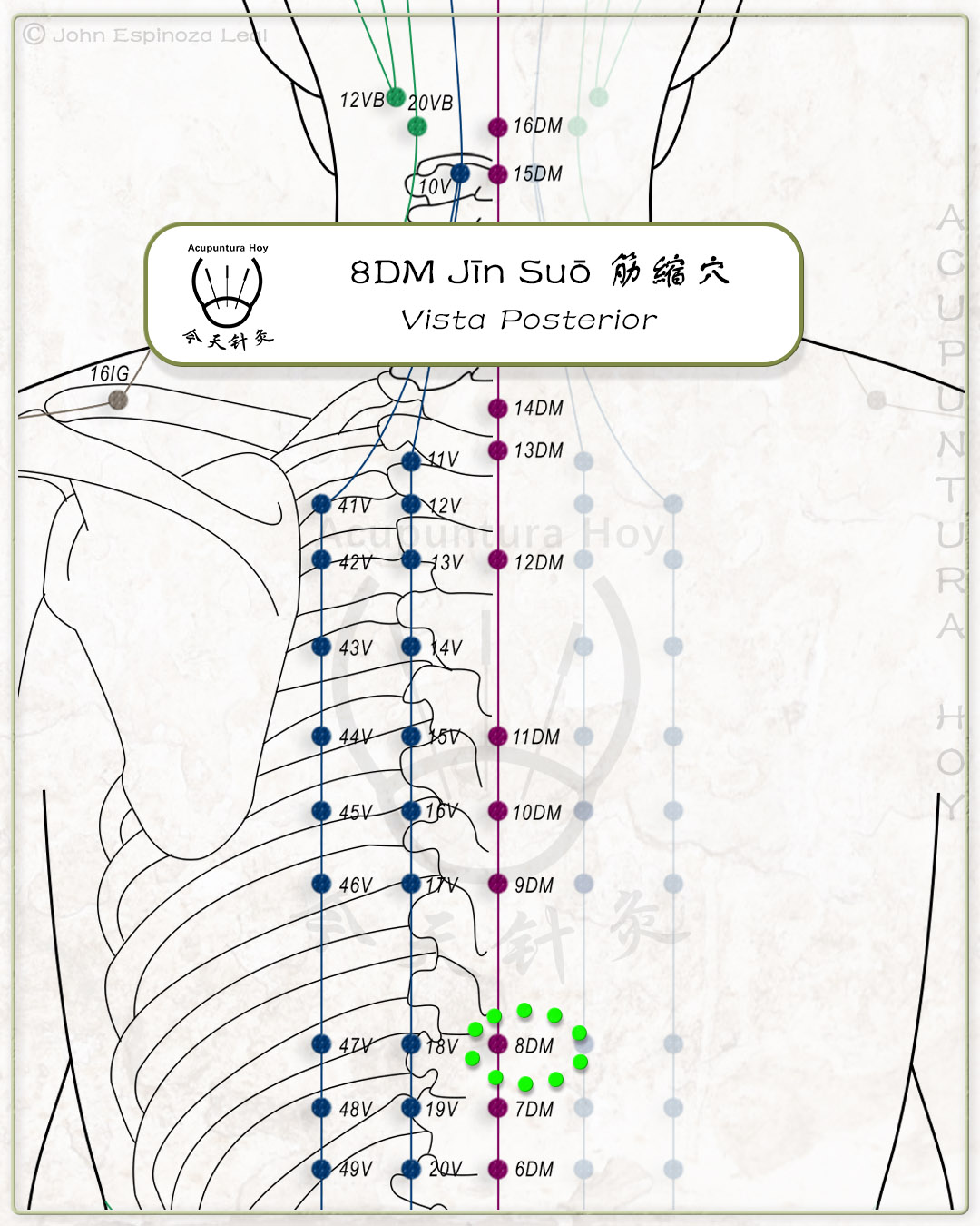 8DM Jīn Suō 筋縮穴