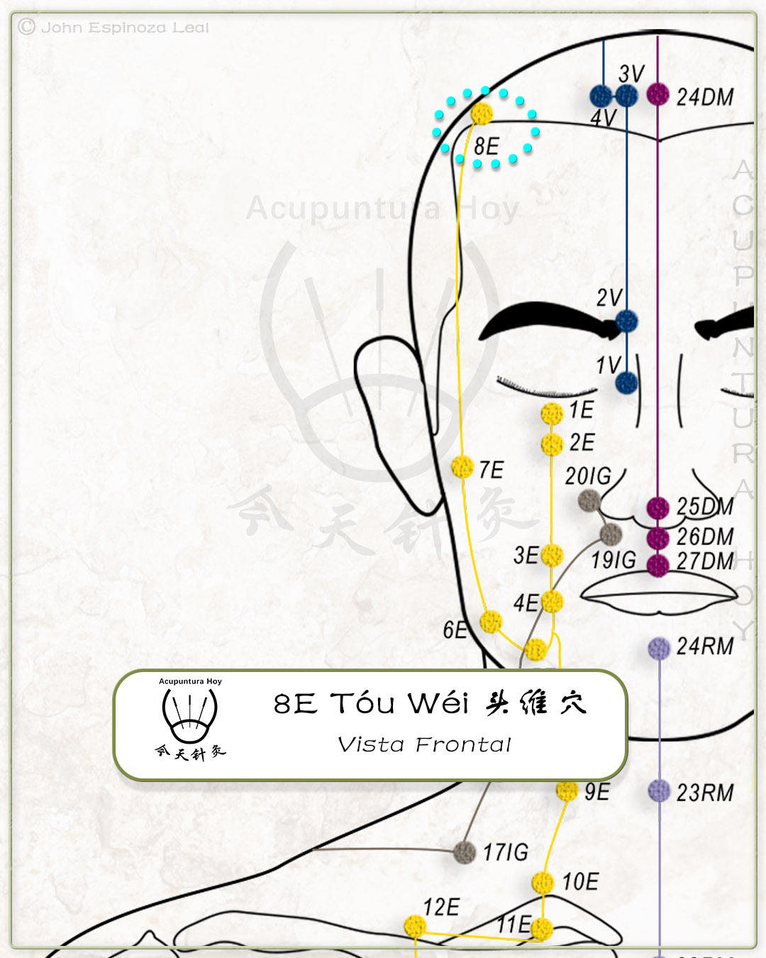 8E Tóu Wéi 头维穴