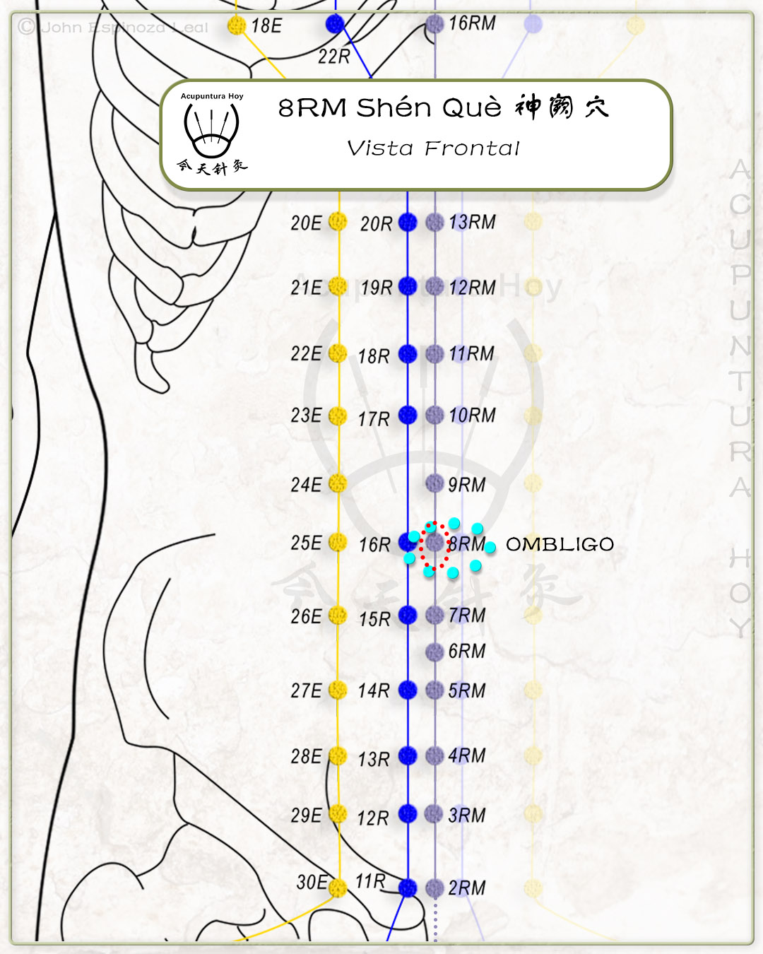 8RM Shén Què 神阙穴