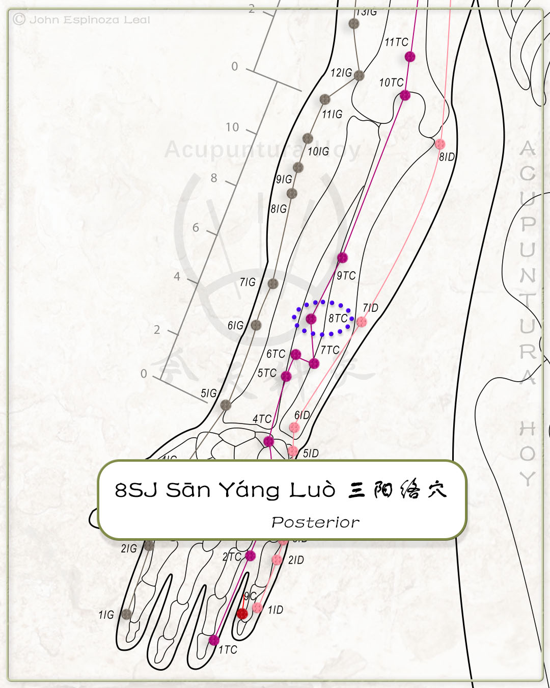 8SJ Sān Yáng Luò 三阳络穴