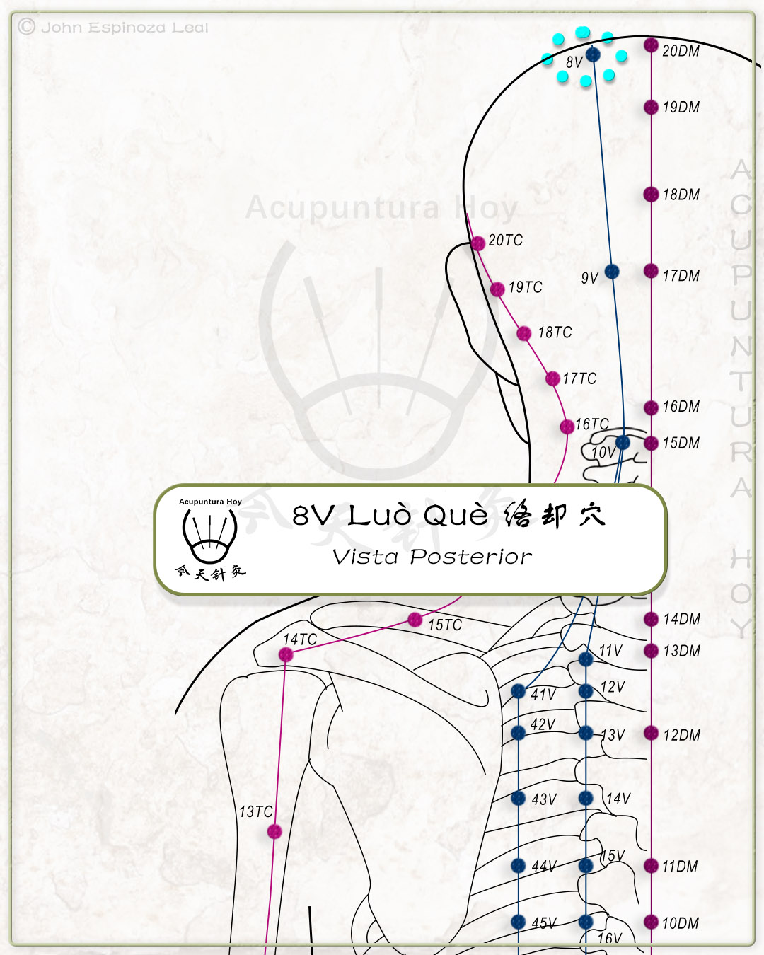 8V Luò Què 络却穴