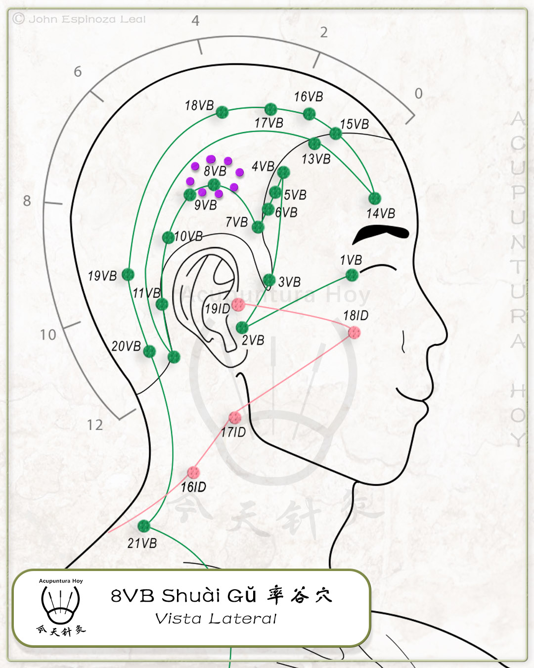 8VB Shuài Gŭ 率谷穴