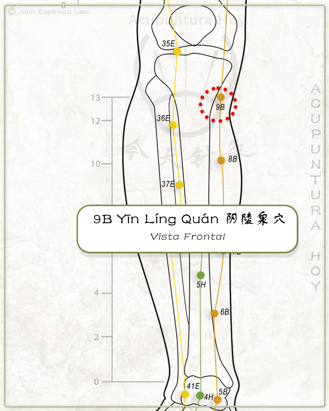 9B Yīn Líng Quán 阴陵泉穴