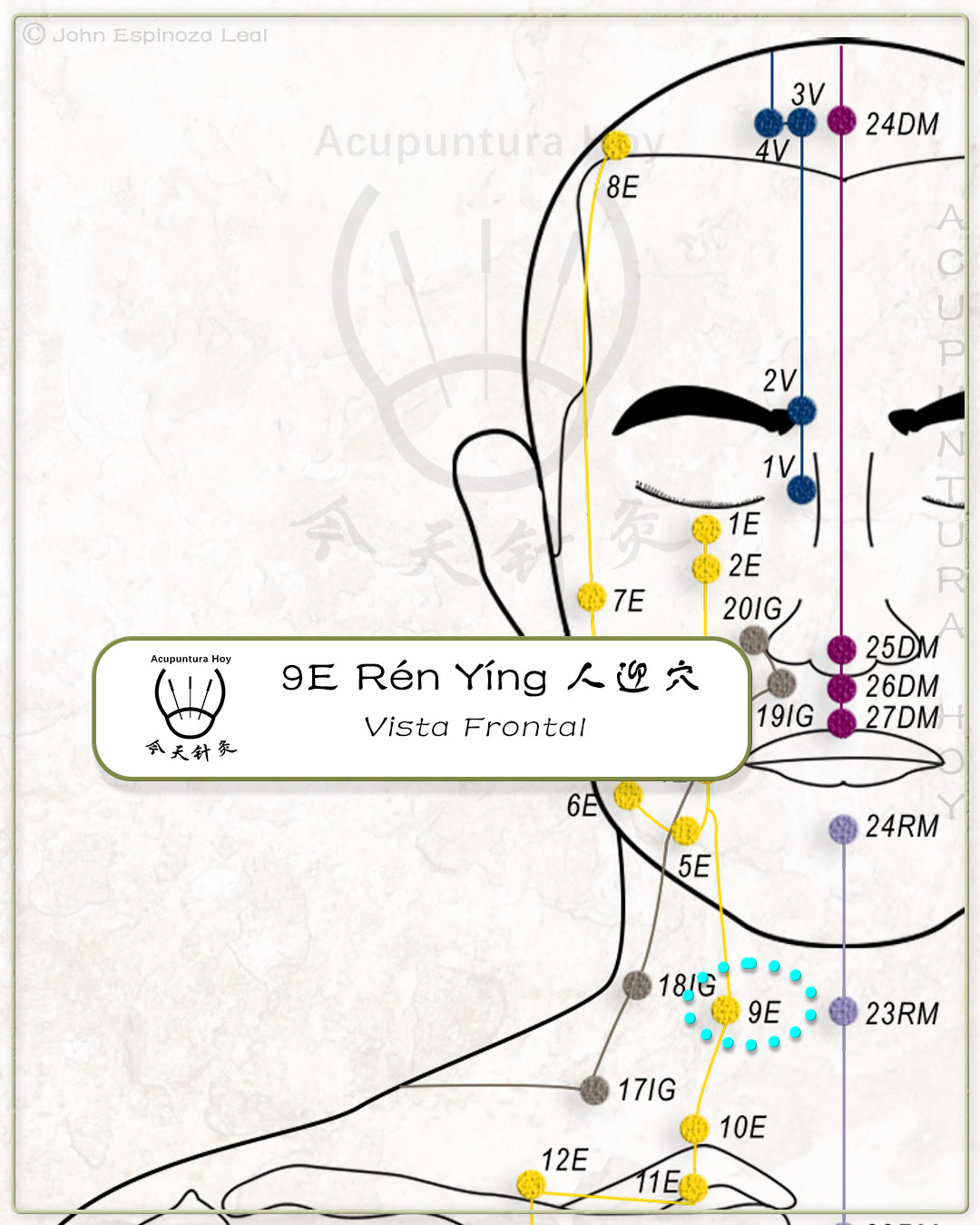 9E Rén Yíng 人迎穴