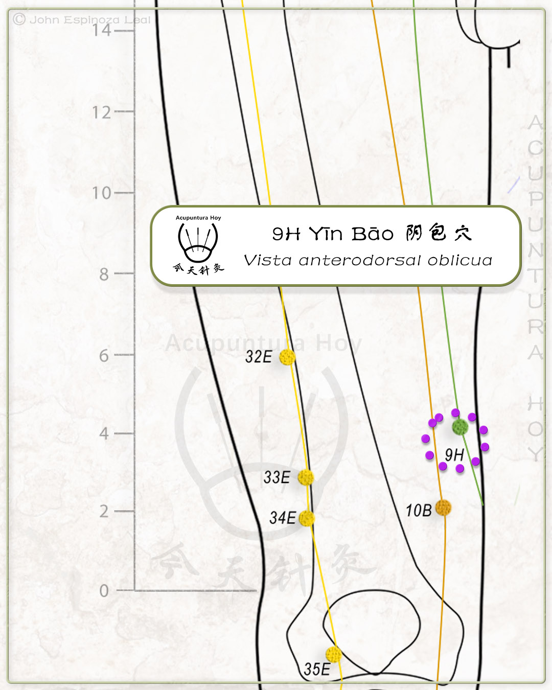 9H Yīn Bāo 阴包穴