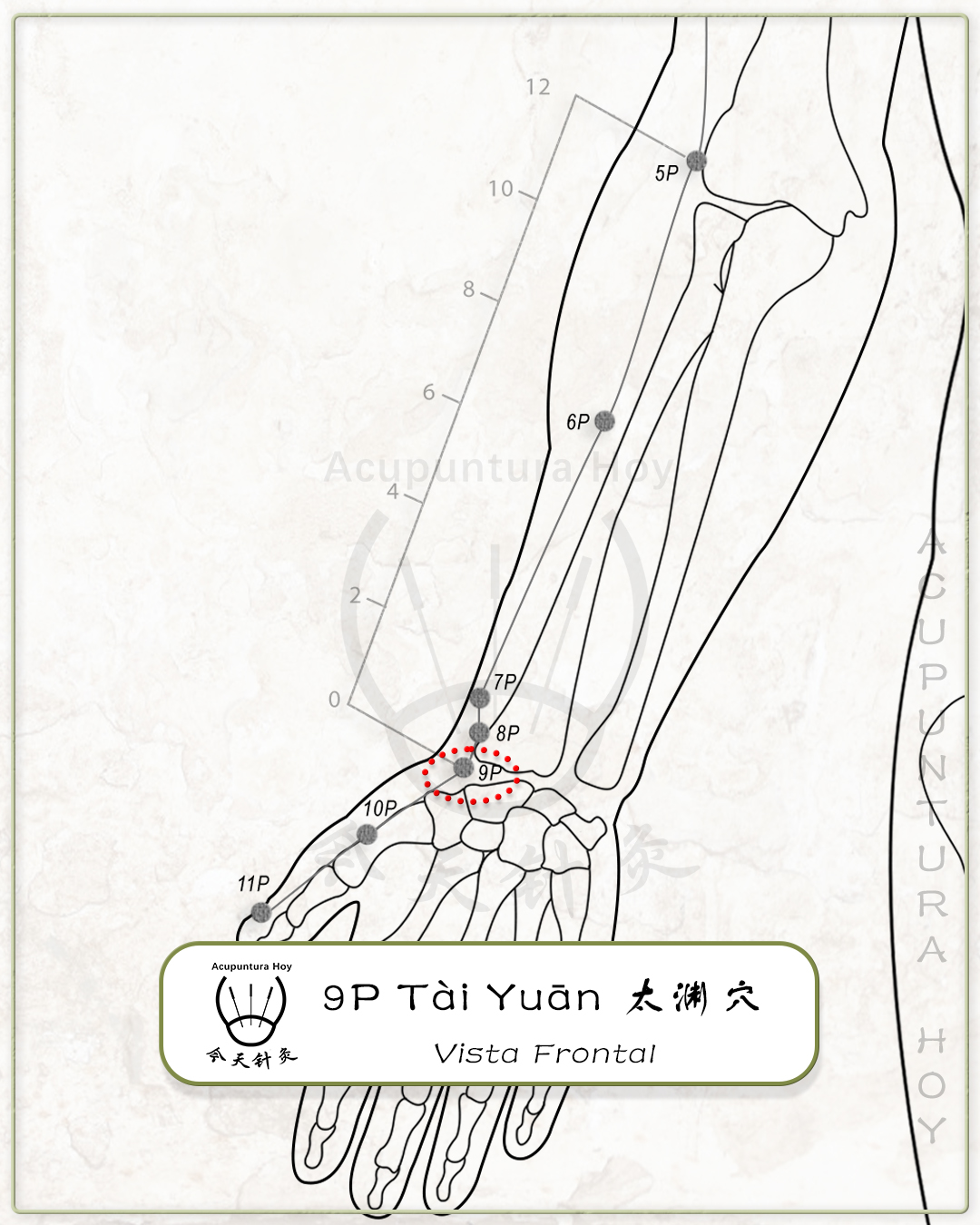 9P Tài Yuān 太渊穴