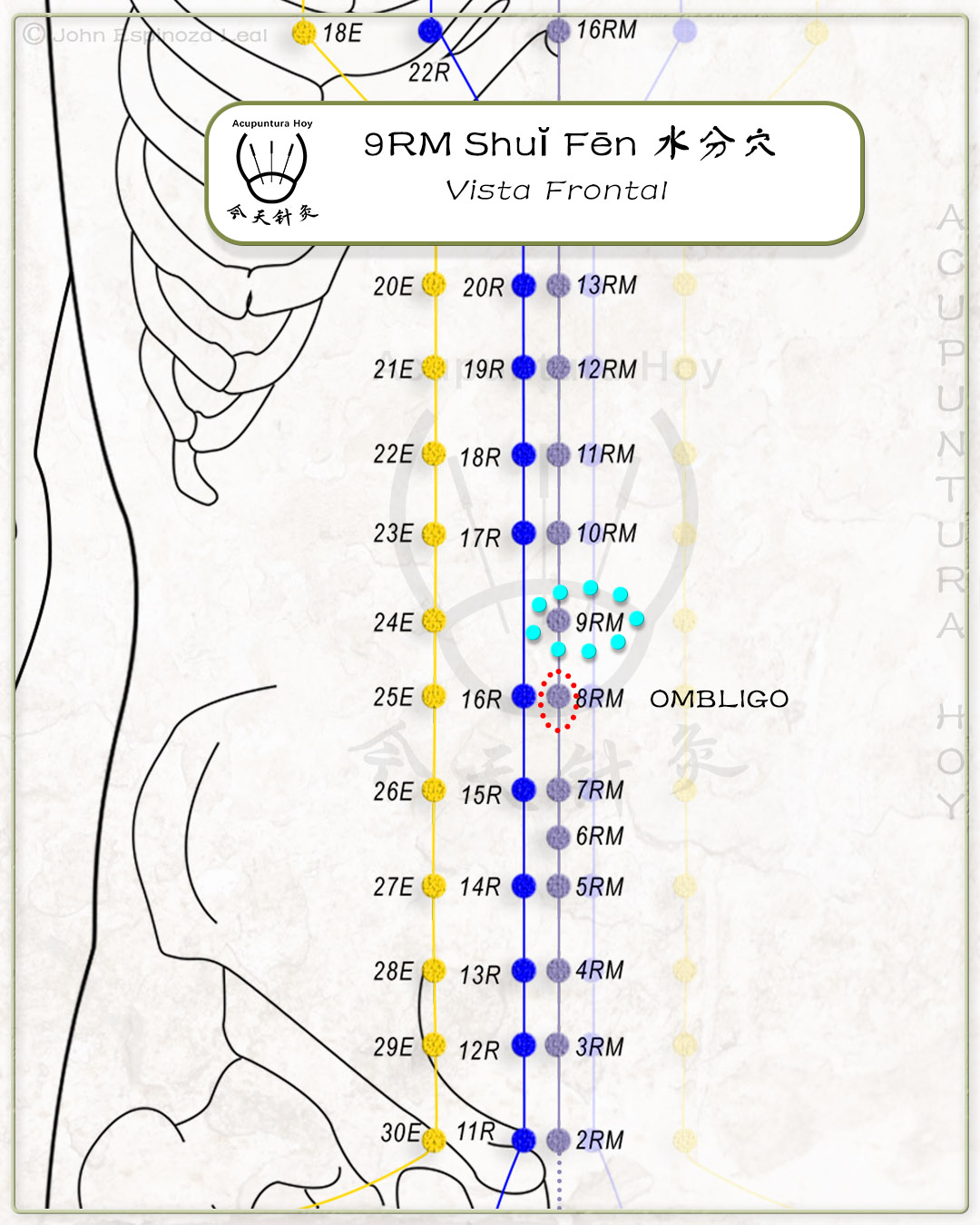 9RM Shuĭ Fēn 水分穴
