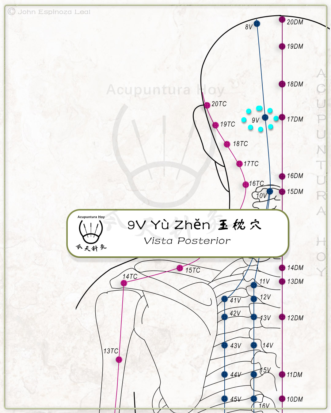 9V Yù Zhěn 玉枕穴