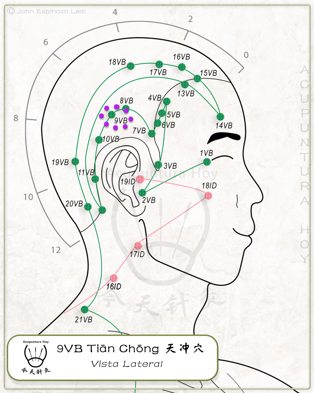 9VB Tiān Chōng 天冲穴