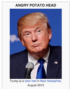 Alt text