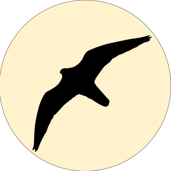 Peregrine AI Logo