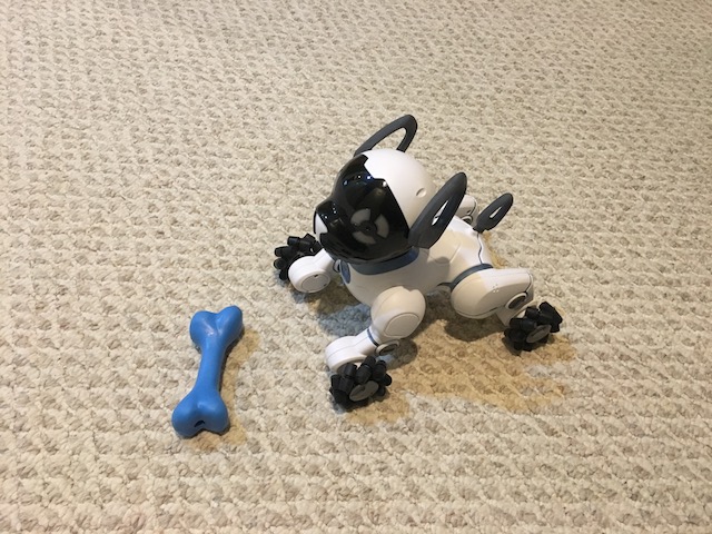 chip robot dog ebay