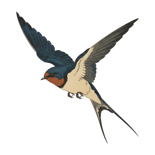 Bird Card
