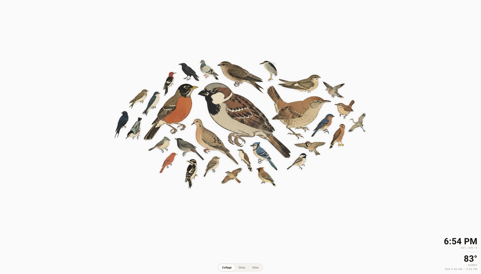 HABirdDashboard collage