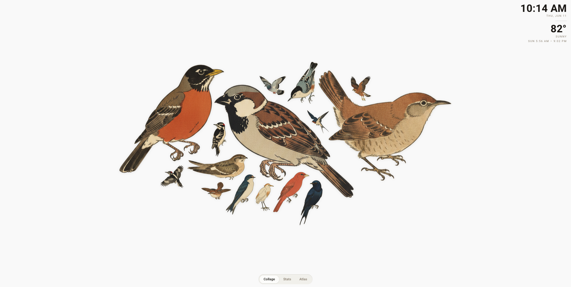 HABirdDashboard collage