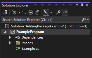 Solution Explorer