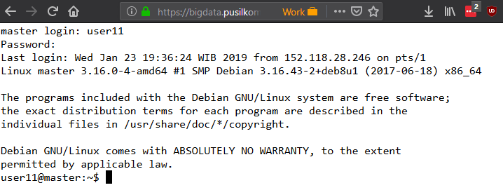 Shell's display once connected to the master node