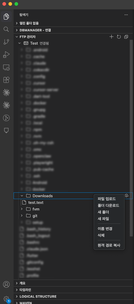 FTP Manager - Remote File Browser