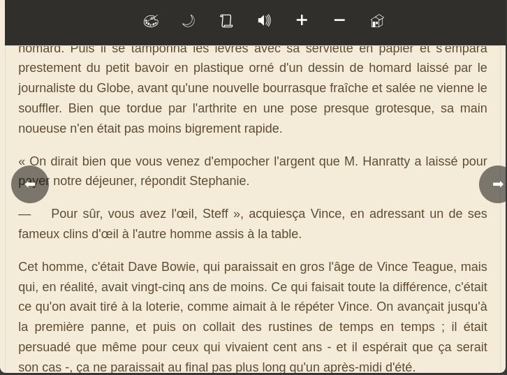 PHP_server_ebooks_reader screenshot