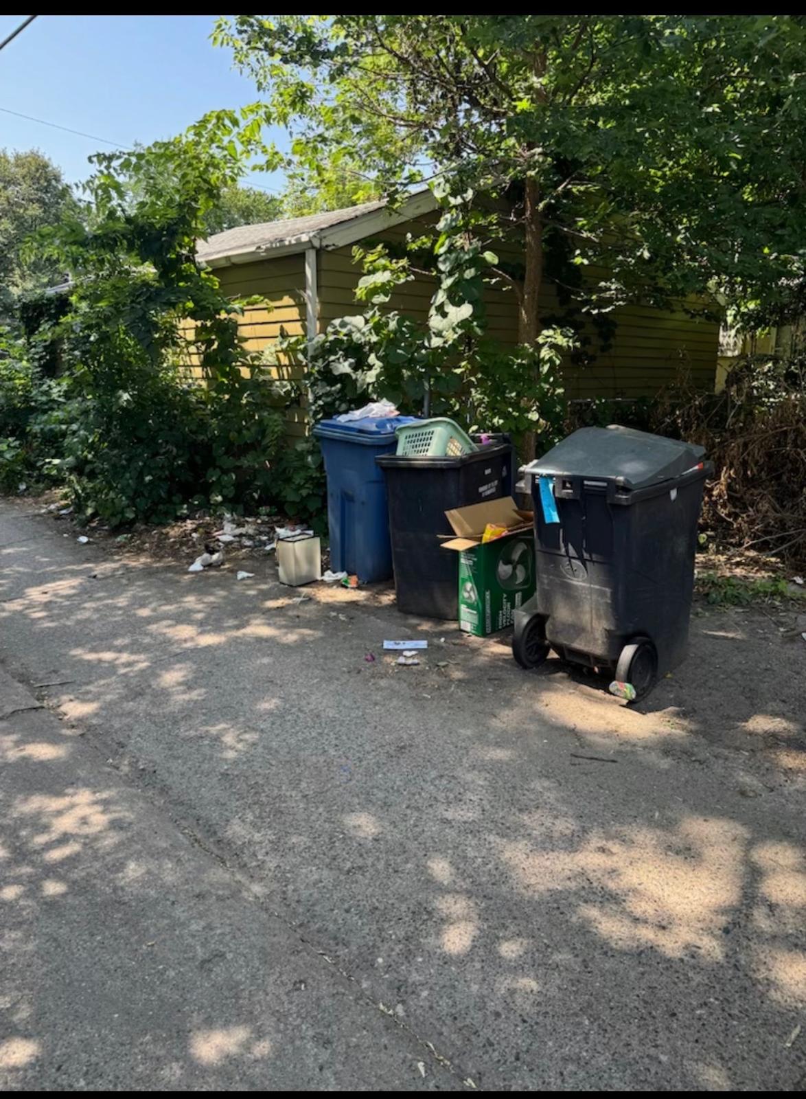 Curbside overflow pickup