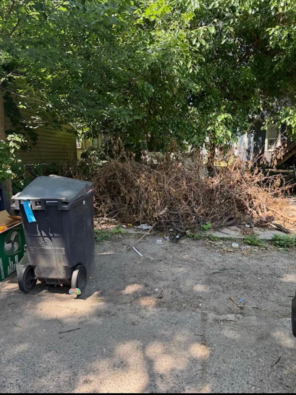Yard debris before removal