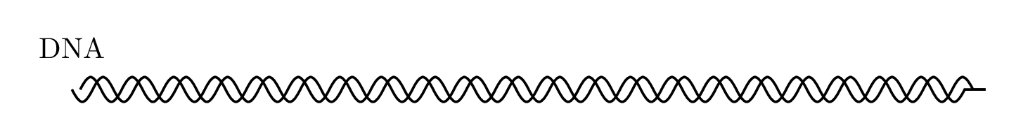 ReportDiagrams/ENGR446