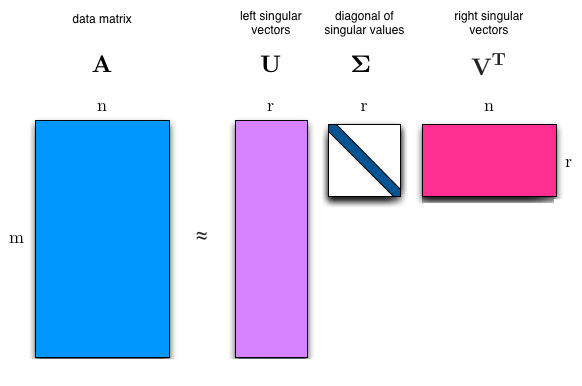 Singular Value Decomposition