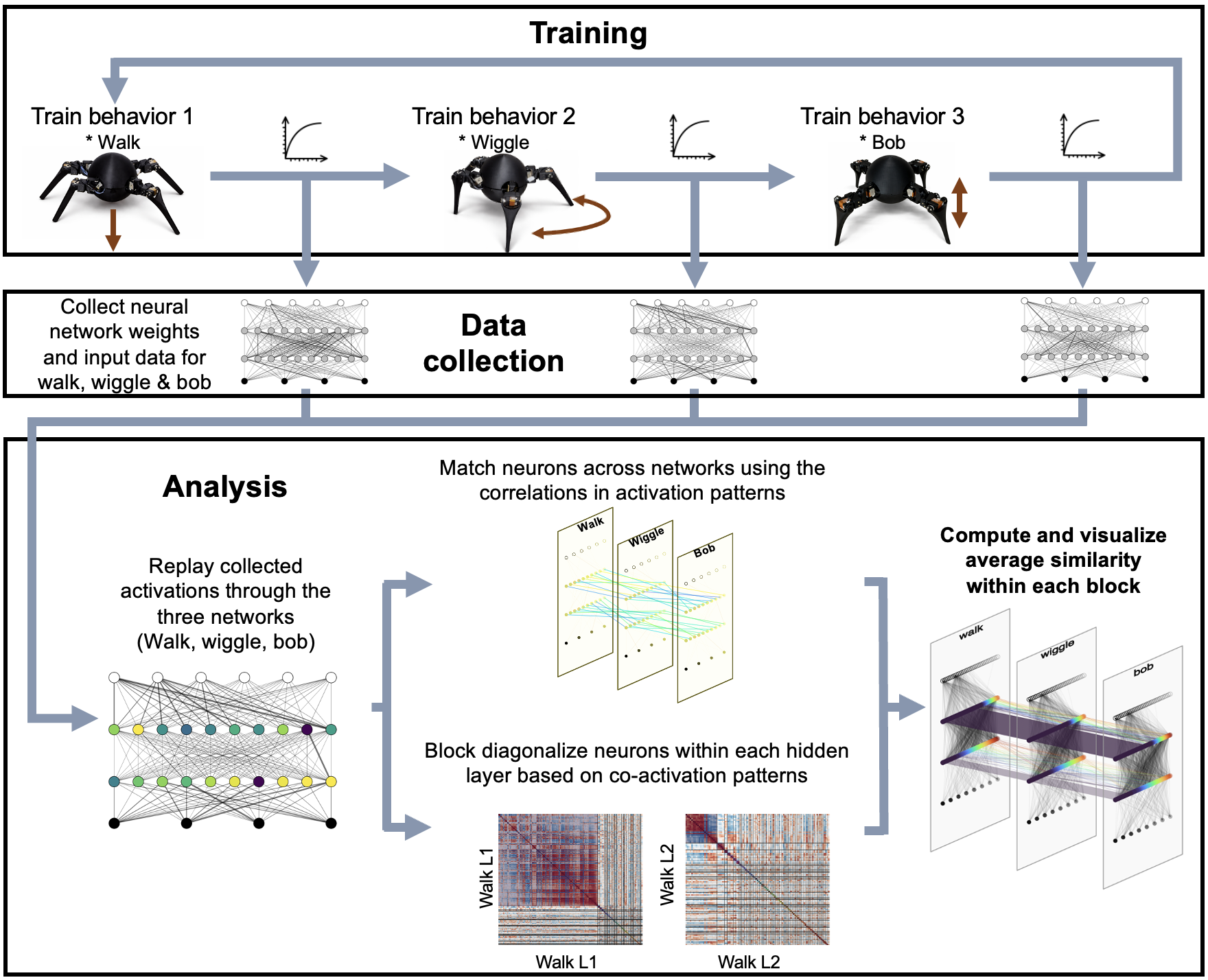 Overview of the robot training and analysis pipeline