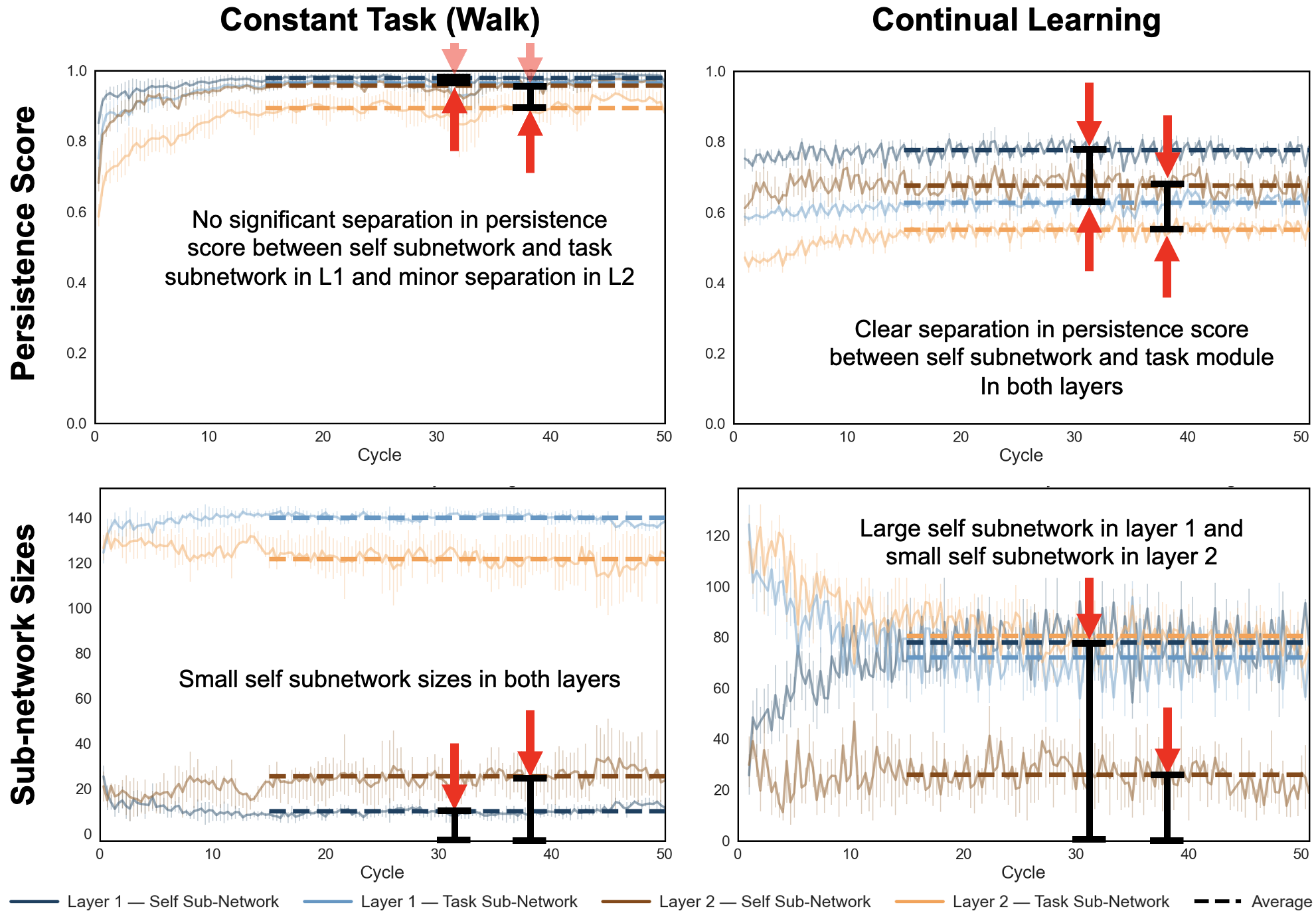 Robustness and persistence of self-like subnetworks across cycles