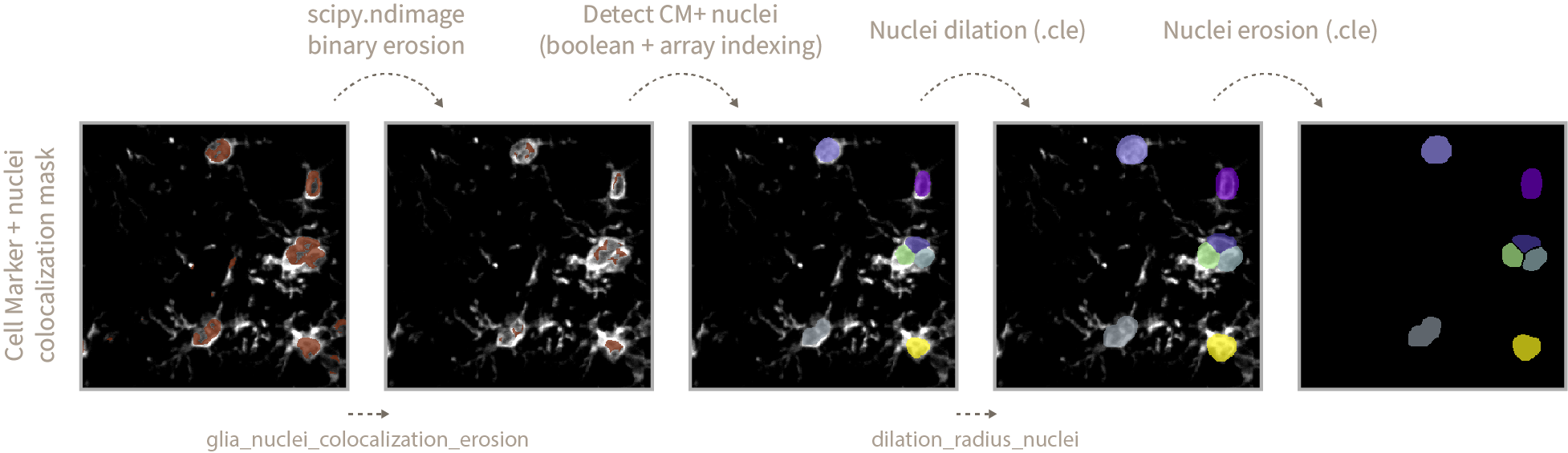 cm+_nuclei