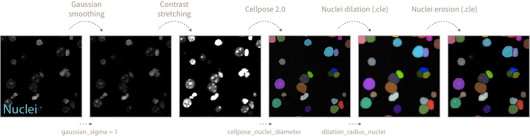 nuclei_segmentation_gs6