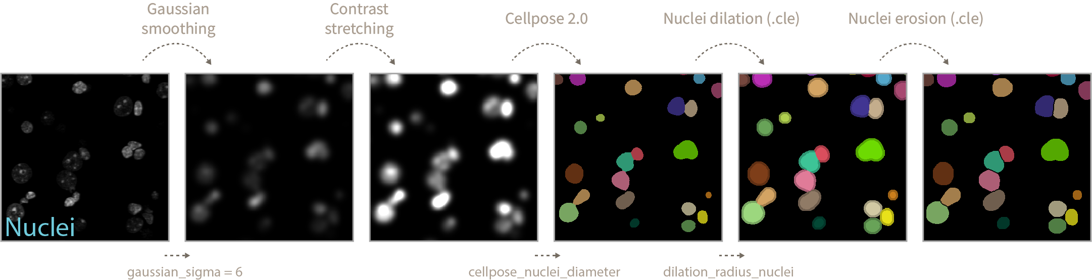 nuclei_segmentation_gs1