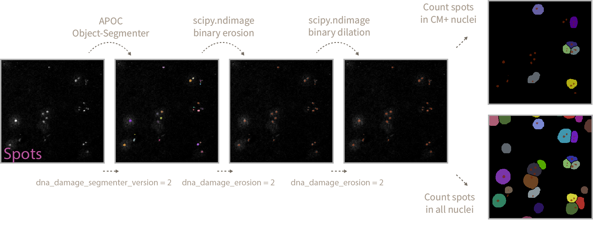 spot_detection