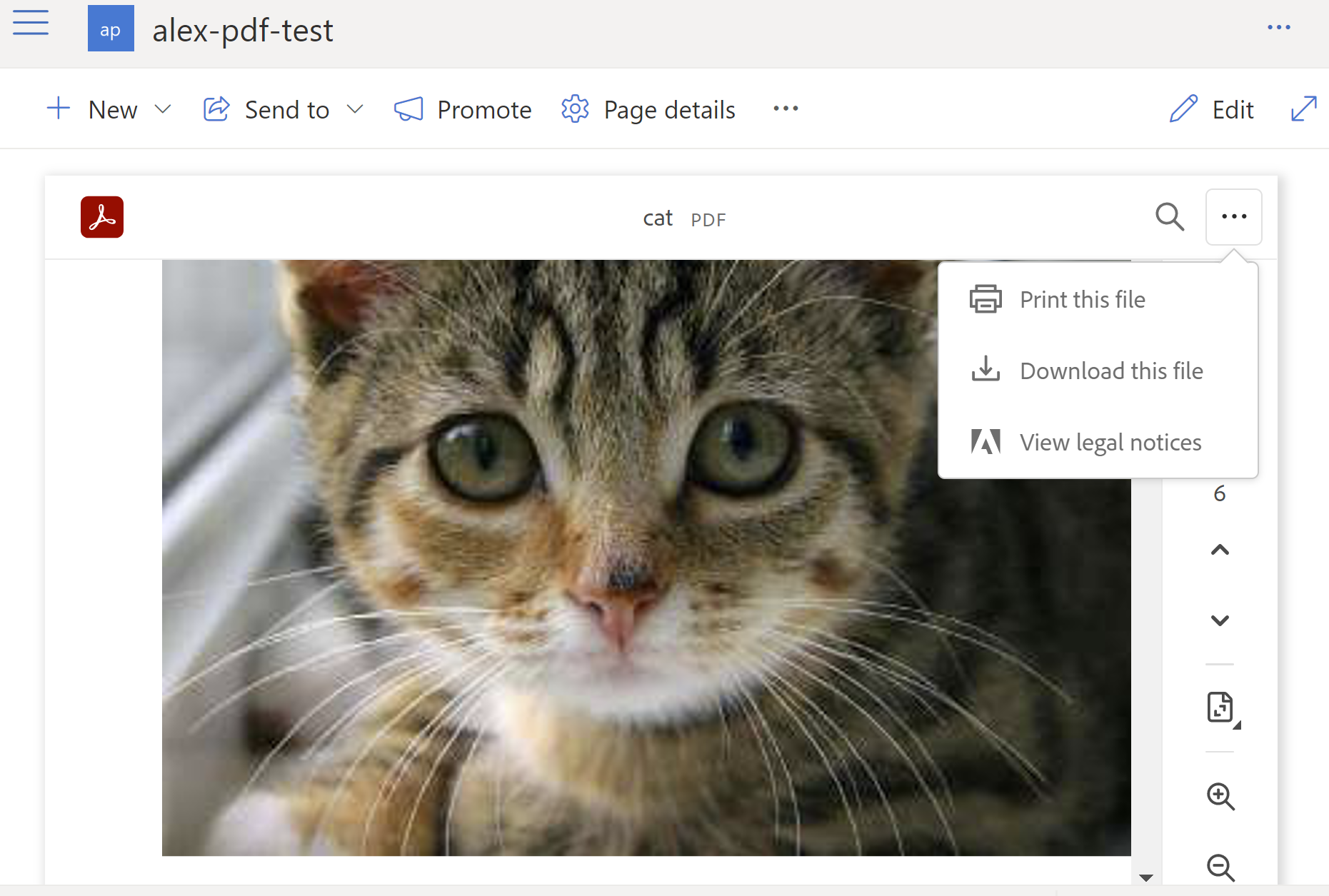 Image of a cat in a PDF document displayed on a SharePoint Online site page