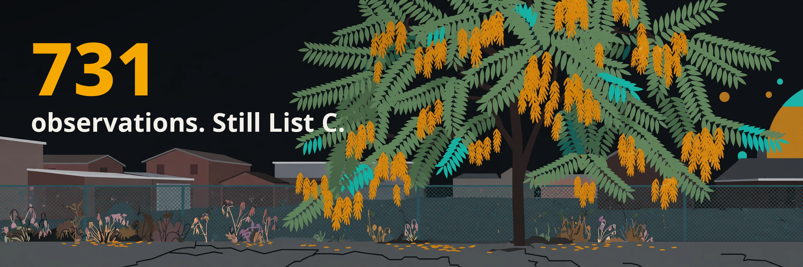 Hero image for the Denver tree of heaven brief