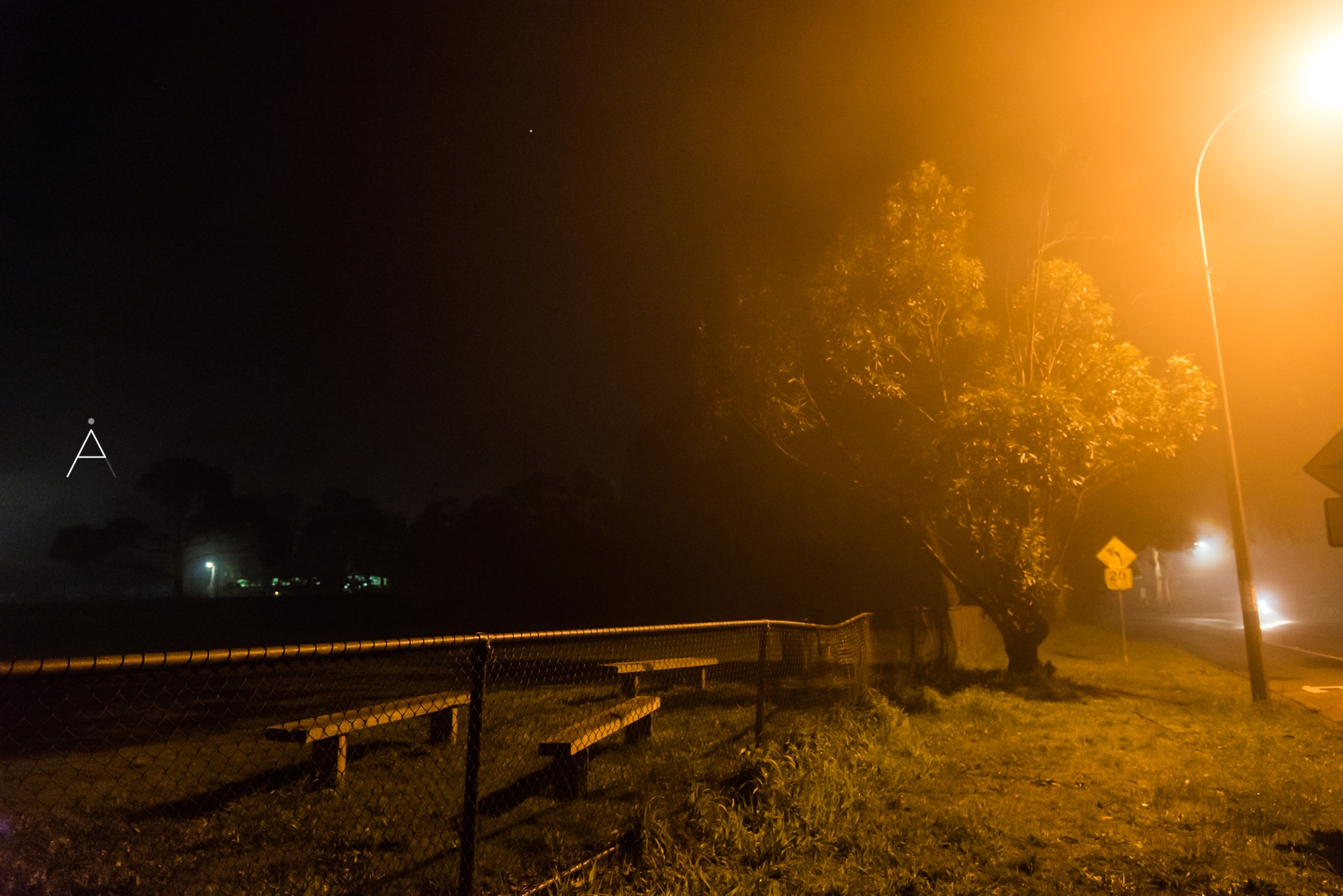 Cold Night