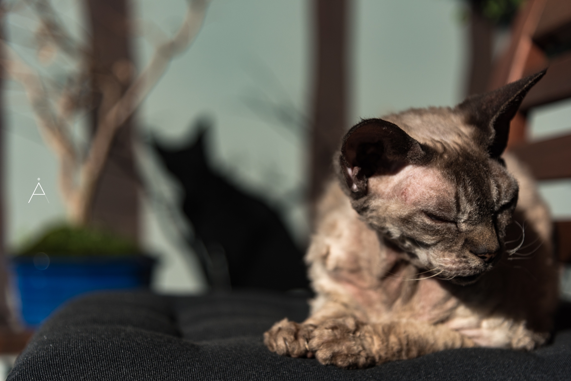 He's Always Around