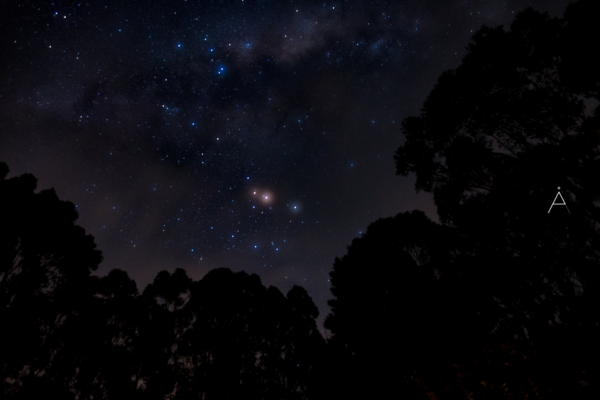 Starry Night