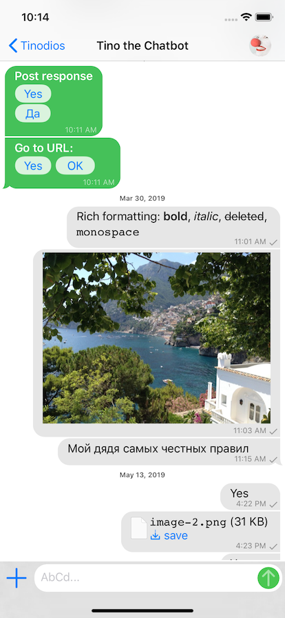 iOS screenshot: one conversation