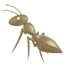 :party-ant: