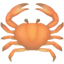 :party-crab:
