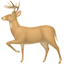:party-deer: