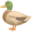 :party-duck: