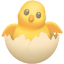 :party-hatching_chick: