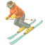 :party-skier: