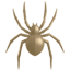 :party-spider: