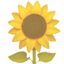 :party-sunflower: