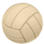 :party-volleyball: